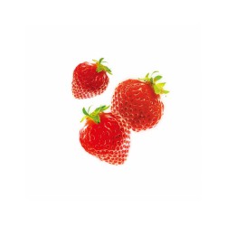 Brain Disease Lychee Toxins