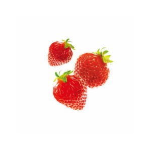Brain Disease Lychee Toxins