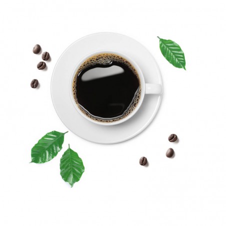 The Coffee Co.