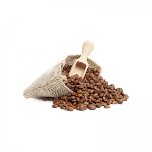 Coffea Arabica