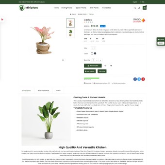 Miniplant - A Collection of Indoor Plants