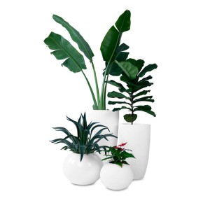 Artificial Plants