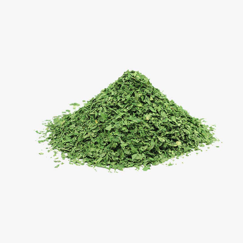 Tulsi Green Tea