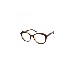 Polarized Wayfarer Sunglasses