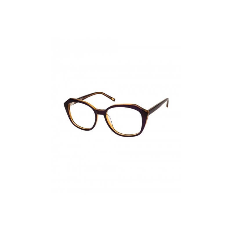 Polarized Wayfarer Sunglasses