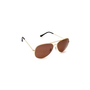 Polarized Wayfarer Sunglasses