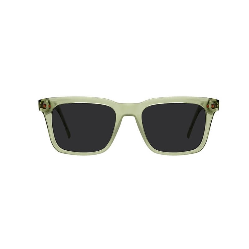 Wayfarer Sunglasses
