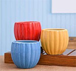 Muges&Cups