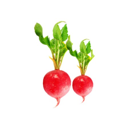 Vegetables