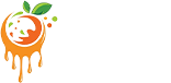 demo store