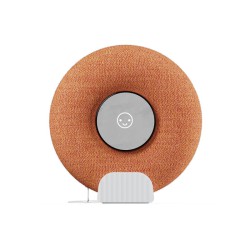Sony iPod
