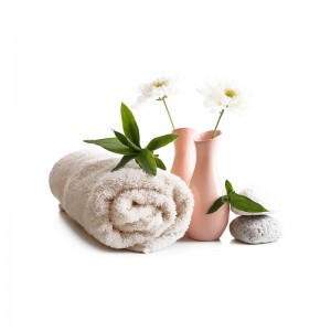 cotton plush towel