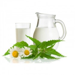 Purifying Cleanser