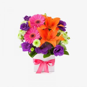 Tulip and Freesia Bouqute