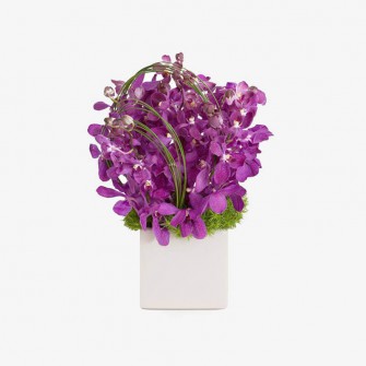 Cottage Garden Flowers
