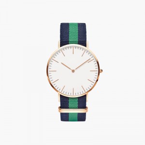 Professional watch