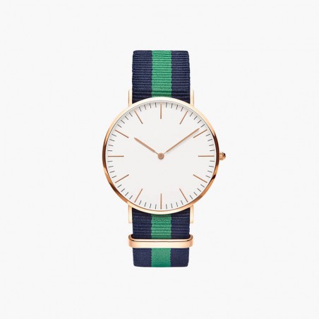 Professional watch