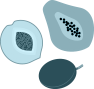 Fruit Fragrance