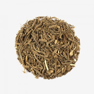 Vector Green Tea