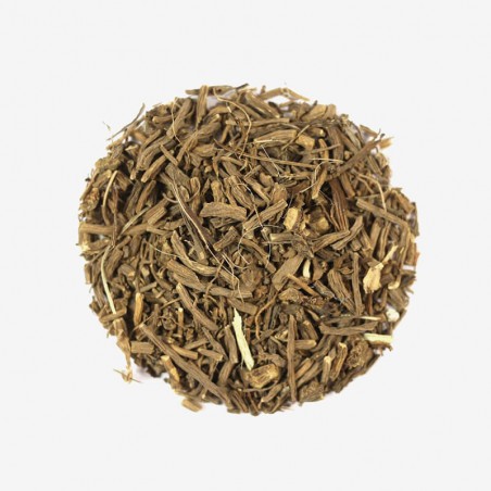Vector Green Tea