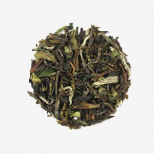 GTEE Green Tea