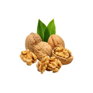 Fresh Nuts