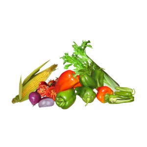 Zackfruit Choice Zest