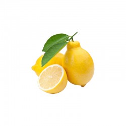 Tescot Durian Fruits