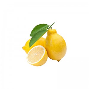 Tescot Durian Fruits