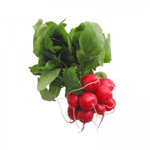 Tomatos Tesco Loose