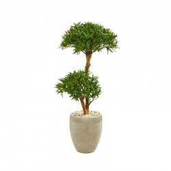 Floral Plant