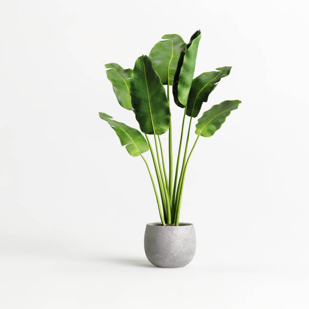 Product_Page_Images_1.jpg