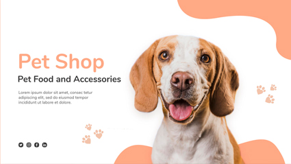 Newsletter Popup