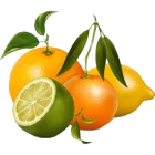Fructe de citrice