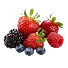 Fructe de pădure