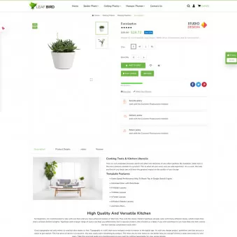 Leaf Bird Plants for Every Home and Heart