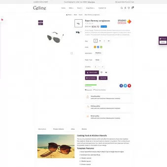 Celine Optics: See the World in Style