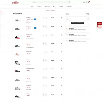 Shoes for Comfort, Style, and Performance