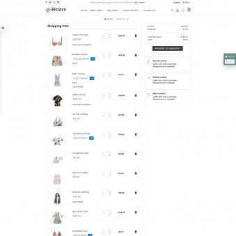 Roziy - Modern Themes for Fashion Brands