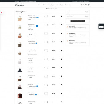 Premium Designs for Handbag Stores