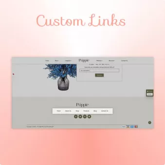 Custom Links