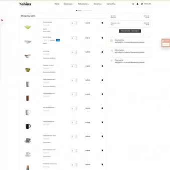 Nabina Ceramic Art Designed for Timeless Beauty