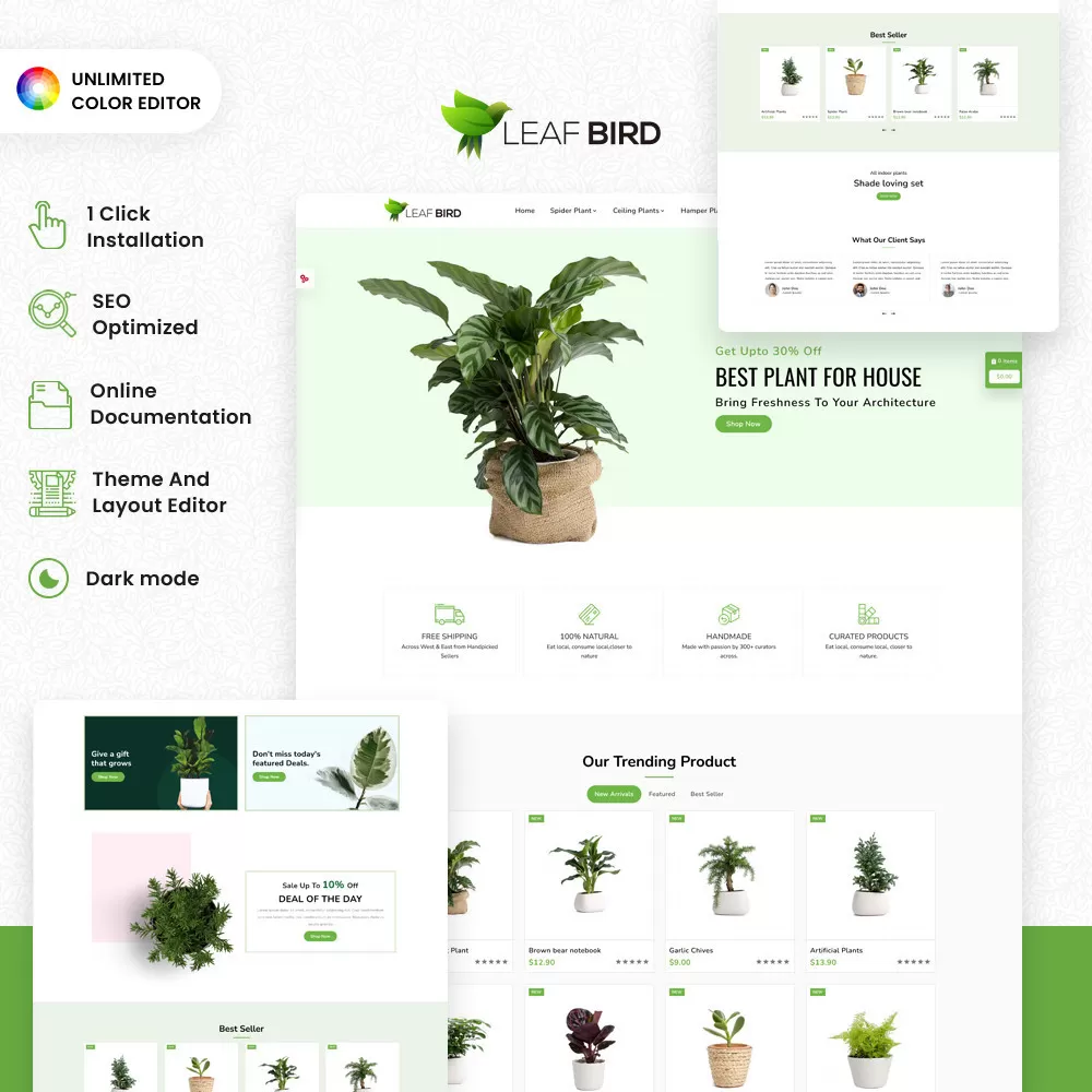 Leaf Bird Plants for Every Home and Heart