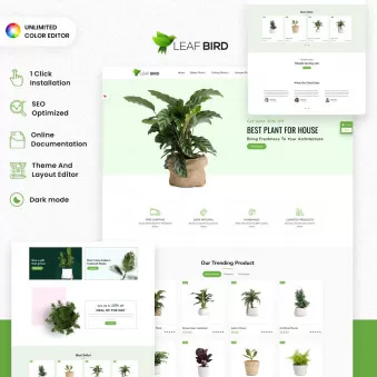 Leaf Bird Plants for Every Home and Heart