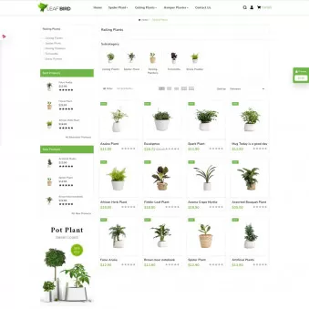 Leaf Bird Plants for Every Home and Heart