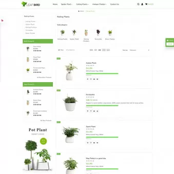 Leaf Bird Plants for Every Home and Heart