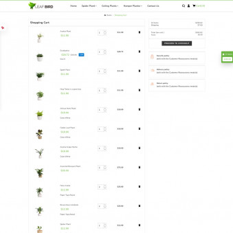 Leaf Bird Plants for Every Home and Heart