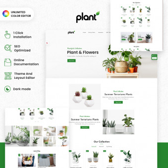 Roots & Blooms: A Journey to Plant Paradise