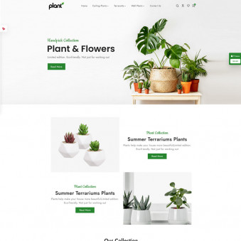 Roots & Blooms: A Journey to Plant Paradise