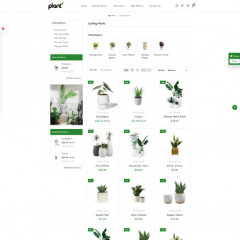 Roots & Blooms: A Journey to Plant Paradise